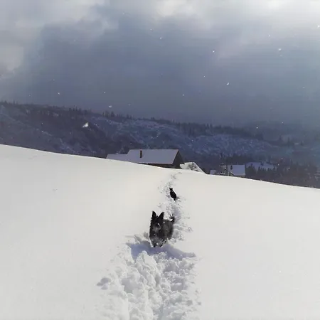 Osada Bura Polana 펜션 Ujsoły