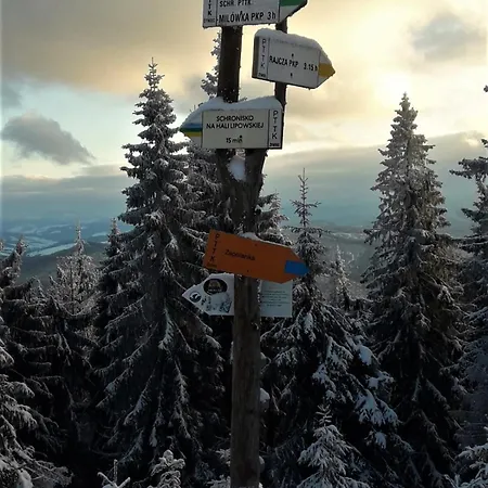 Osada Bura Polana Ujsoły