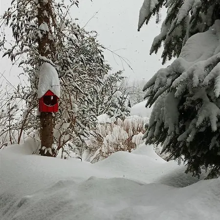 Osada Bura Polana * Ujsoły
