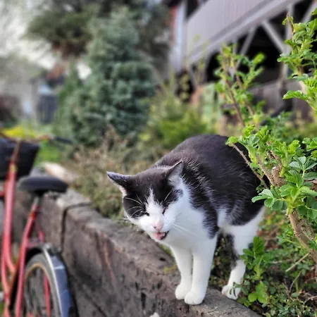 펜션 Osada Bura Polana Ujsoły