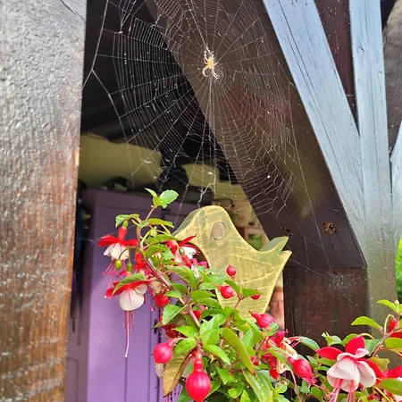 펜션 Osada Bura Polana Ujsoły