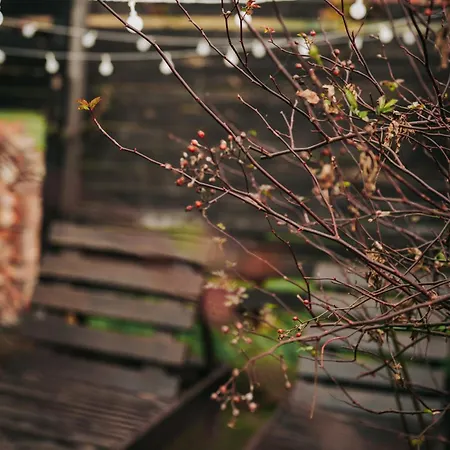 Osada Bura Polana - Drewniane Z Sauna Ujsoly