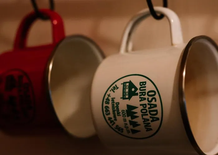 度假居 Osada Bura Polana Ujsoły